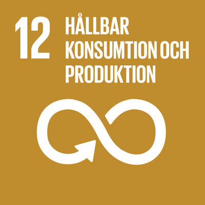 FNs globala mål: Hållbar konsumtion och produktion