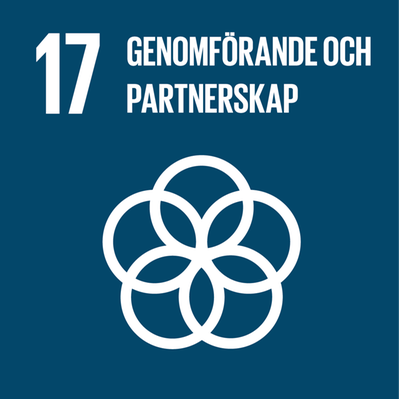 FNs globala mål: Genomförande och partnerskap